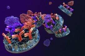 Tuberculose : un test rapide détecte les infections