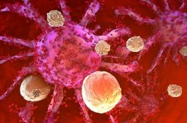 Académie de médecine  : 