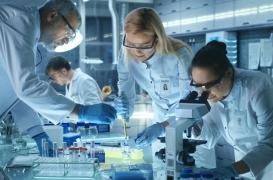 Cancer du cerveau : une chercheuse marseillaise travaille sur une nouvelle piste de traitement 