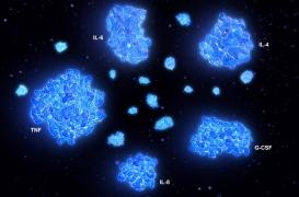 De troublantes similitudes entre la tempête cytokinique et le syndrome du choc toxique