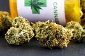 Cannabis : l'Uruguay ouvre un registre des consommateurs
