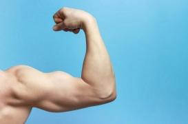 La testostérone rend plus agressif à l'âge adulte qu'à l'adolescence