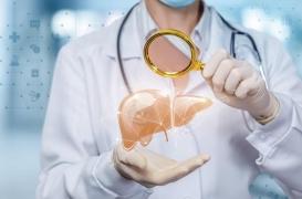 Maladies du foie : une seule cellule anormale peut contaminer toutes les autres
