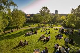 Une « petite dose de nature » diminue le stress des urbains 