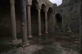 Antiquité  : l'empire romain était infesté de parasites