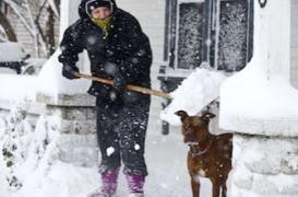 Le retour du  froid  : 10 questions pratiques. 