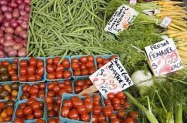 La malnutrition touche désormais l'ensemble de la planète