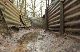 La fièvre des tranchées, cette maladie qui inquiète les Canadiens