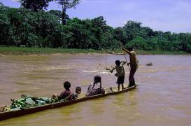 Musique : le cerveau n’a pas de préférences innées