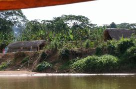 Maladies cardiovasculaires : un risque quasi nul dans une tribu bolivienne 