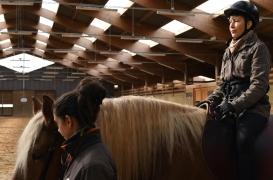 Cancer du sein : l’hippothérapie pour favoriser l’autonomie des patientes ?