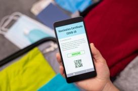 Pass sanitaire : le Conseil d’Etat conteste l'objectif de l'incitation à la vaccination