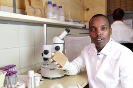 Afrique : un savon pour combattre le paludisme