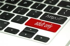 La pornographie sur internet modifie la structure du cerveau