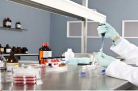 Virus dangereux : Manuel Valls inaugure l'extension du laboratoire P4 