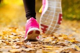 Perdre du poids : pourquoi l’exercice physique ne suffit pas 