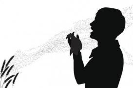Allergies aux pollens de graminées : comment s'en protéger efficacement ? 
