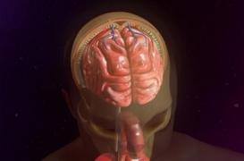 Méningite bactériologique : après le décès d'un lycéen à Nice, des mesures pour éviter la contagion 