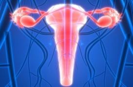 Greffe d'utérus : la première française à en avoir bénéficié témoigne 