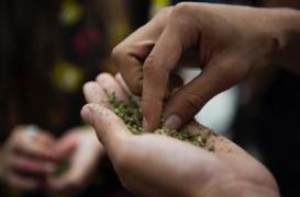 Le cannabis de synthèse pourrait augmenter le risque d'AVC : des médecins américains donnent l'alerte
