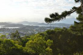 Dengue : 2 décès en Nouvelle-Calédonie 