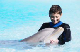  Matéo en rémission de sa leucémie grâce aux dons 