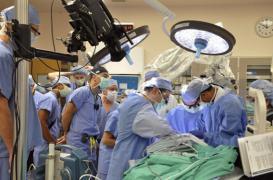 Journée mondiale du don : la greffe à partir de donneur vivant progresse