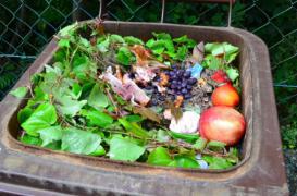 Gaspillage alimentaire : les associations reçoivent 800 000 euros d'aide