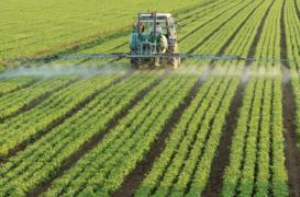 Pesticides : bataille sur les conditions d'épandage