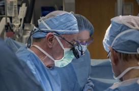 Greffe d'utérus : une première réalisée aux Etats-Unis avec une donneuse décédée 