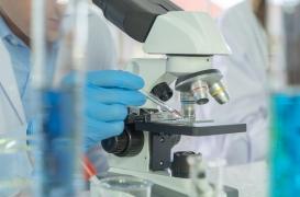 Les mutations du virus seraient minimes, rendant possible la mise au point d'un vaccin unique