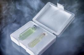 Pourquoi les vaccins doivent être gardés au frais ?