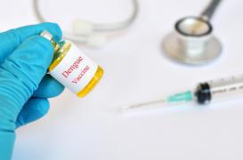 Dengue : un vaccin expérimental efficace à 100 % 