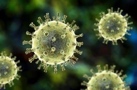 Alzheimer : les virus de l'herpès et de la varicelle en cause ?