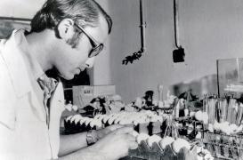 Variole : la souche qui a permis de l’éradiquer viendrait du cheval