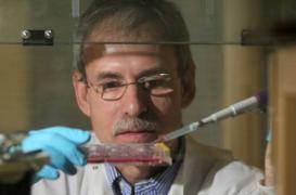 Découverte d’une enzyme impliquée dans le vieillissement de la peau