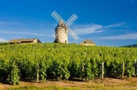 Parkinson : les riverains des terres agricoles plus exposés