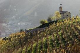 Pesticide : le cancer d'un agriculteur n'a pas été reconnu comme maladie professionnelle