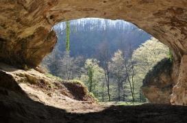 Préhistoire : de l’ADN trouvé dans des grottes sans ossements
