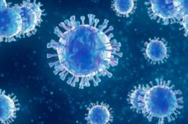 Des chercheurs découvrent un virus d’un nouveau type
