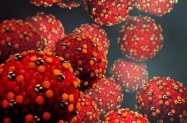 Virus : découverte de deux parents de la rubéole