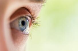 Comment le cerveau se débrouille pour mieux entendre après une perte de vue