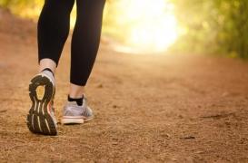 Au quotidien ou en randonnée : pourquoi marchons-nous toujours au bon rythme ?