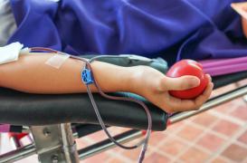 Don du sang : les homosexuels soumis à un an d'abstinence