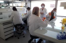 Maladies génétiques : un 