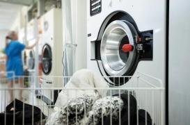 Femmes précaires et santé fragile