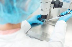 PMA : le dépistage pré-implantatoire de la trisomie 21 refusé par le Sénat 