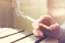 Cancer des fumeurs : le microbiote intestinal aurait une influence sur la croissance des tumeurs 