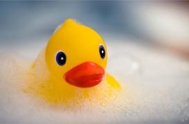 Santé : attention aux vilains petits canards de nos baignoires