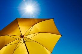 Vitamine D et longévité : l'effet inattendu des grandes migrations